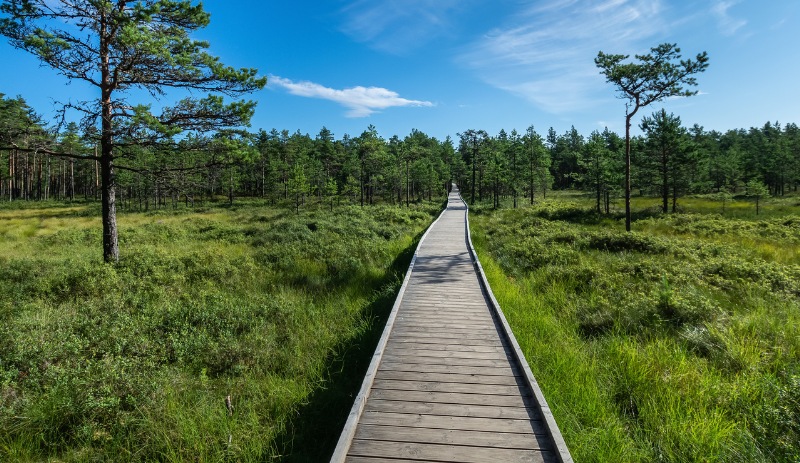 Lahemaa National Park, Estonia