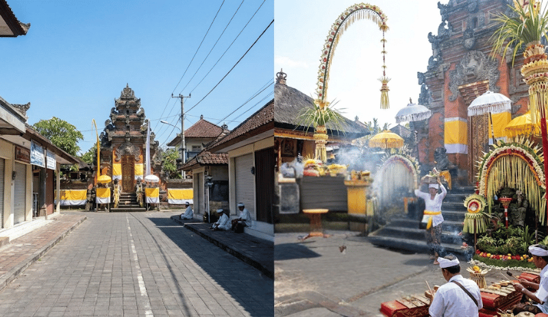 Culture and Local Life