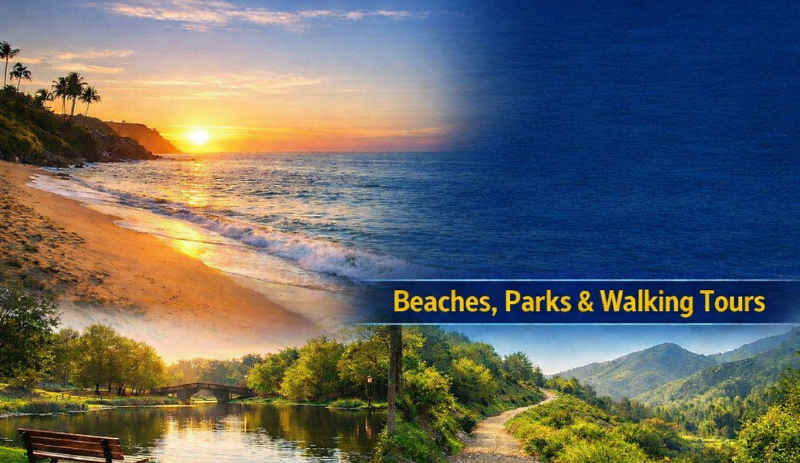 Focus on Things that are Free Of Cost