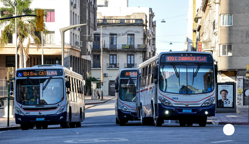 Use Public Transport or Walk